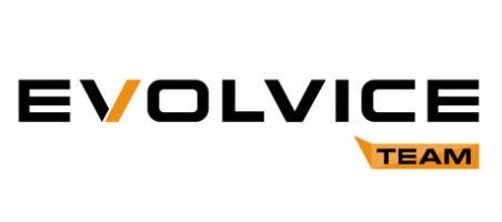 Evolvice Team Gmbh